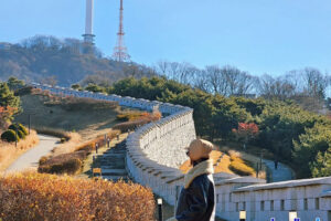 Du Lịch Hàn Quốc khám phá Seoul – Đảo Nami – Công viên Everland (5n4đ)